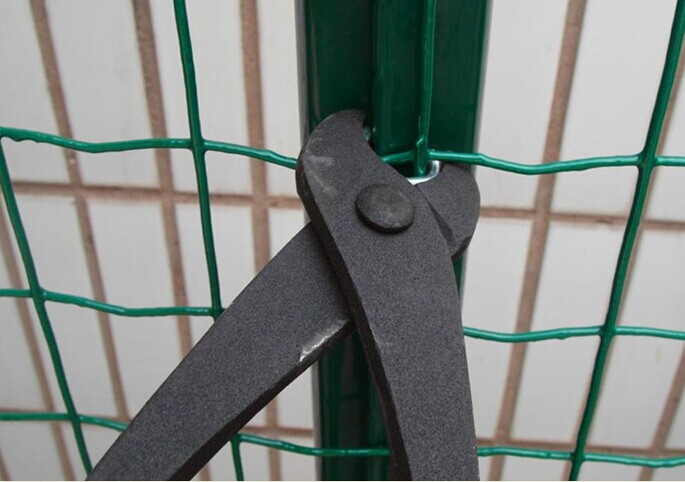 荷蘭網(wǎng)安裝