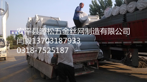 鍍鋅勾花網(wǎng)