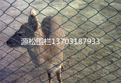 勾花網養殖圍欄