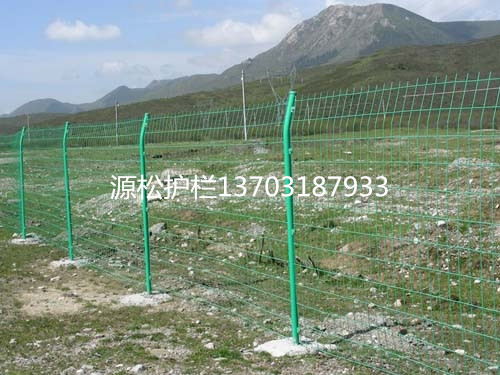 雙邊絲養殖圍欄網