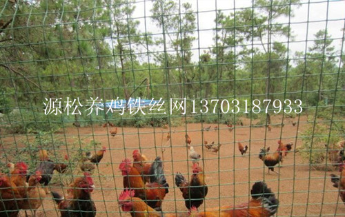 養雞綠色圍欄網