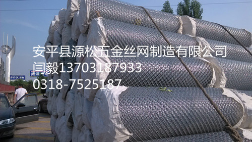 電廠保溫專用鍍鋅勾花網