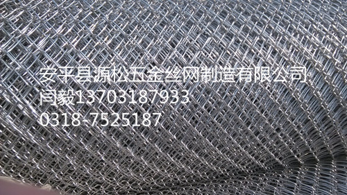 電廠保溫勾花鐵絲網(wǎng)