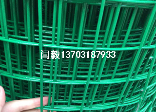 綠色鐵網(wǎng)卷網(wǎng)