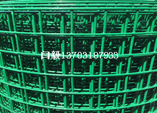 綠色方格圍欄網(wǎng)