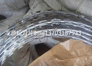 刀片刺繩防護網(wǎng)