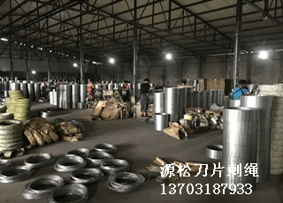 刀片刺繩防護網(wǎng)