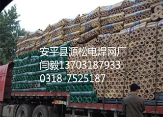 抹墻鍍鋅鋼絲網