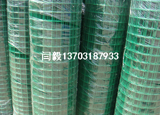 綠色鐵絲網