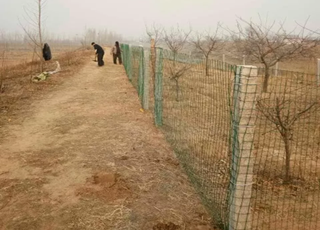 綠色鐵絲網(wǎng)