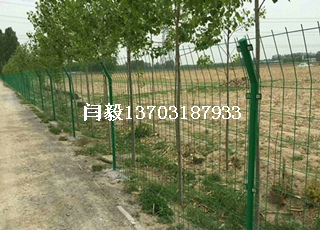 圈地綠色鐵絲網(wǎng)圍欄2