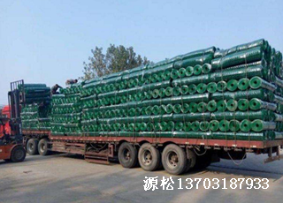 綠色塑料皮鐵絲網2