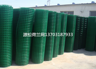 綠色塑料皮鐵絲網4