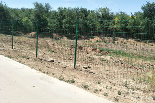 綠色圍山鐵絲網